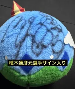 2025年最新】植木通彦の人気アイテム - メルカリ