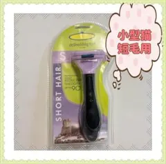 Item thumbnail for item 375a26a2-ee1e-4b6d-98a7-ef314c2dbb99