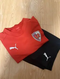 京都サンガF.C. PUMA 2025年度　ユーストップチーム公式戦アップウェア