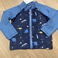 Item thumbnail for item 4d707374-24db-4787-b3f2-b5455c96c6a9