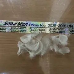 SnowMan LIVETOUR2025-2026 ON 銀テープ　羽