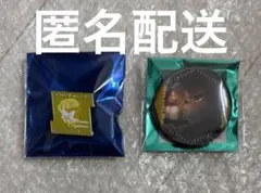 鬼滅の刃　劇場版　無限城編　モチーフピンズ　ものがたる眼差し　我妻善逸　缶バッジ