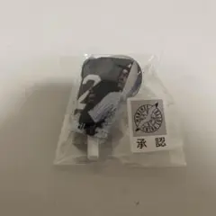 千葉ロッテマリーンズ 国吉佑樹 ラッフル くじ ミニフラッグ