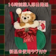 【新品未使用タグ付き】ダッフィー 2024 クリスマス ショルダーバッグ