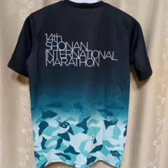 Item thumbnail for item 3bdc39bc-1218-411d-bbef-4677369c18e2