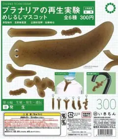 プラナリアの再生実験 めじるしマスコット いきもん STC 全4種 コンプリート