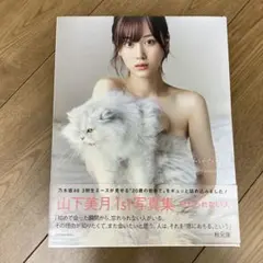 Item thumbnail for item f79c506c-5b82-47c9-936f-91eac3aaecca