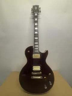 2026年最新】tokai ハードケース レスポールの人気アイテム - メルカリ