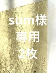 sum様 リクエスト 2点 まとめ商品
