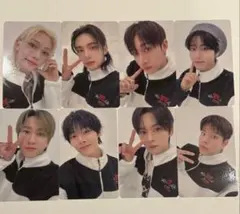 スキズ 会場限定 トレカ 11/14 コンプ 8種 セット stray kids