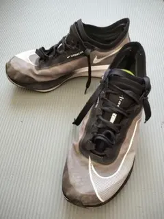 Item thumbnail for item 18b2828e-b543-4884-9daa-5f71e7f7e288