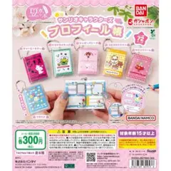 豆ガシャ本 サンリオキャラクターズ プロフィール帳 全6種 フルコンプ ガチャ