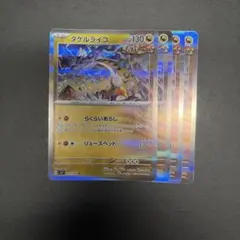 タケルライコ　らくらいあらし　4枚セット