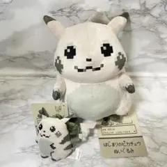 はじまりのピカチュウ ぬいぐるみ マスコット 2点セット 30周年