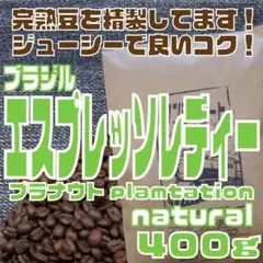 自家焙煎 コーヒー豆 ブラジル　プラナウト農園　エスプレッソレディー 400gのサムネイル