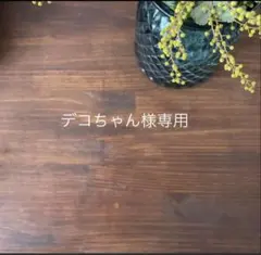 デコちゃん様　専用ページ