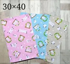 【No.155】ハンドメイド　シマエナガ柄　ランチョンマット　３枚セット