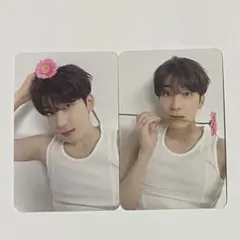 seventeen ウォヌ トレカ 2枚セット