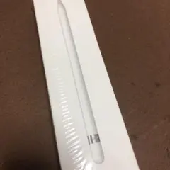 IPAD PRO APPLE PENCIL 空箱