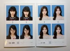 seju証明写真　向井怜衣　田中埜愛