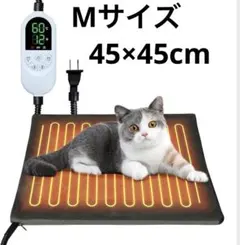 Item thumbnail for item 2c3f95d2-259f-401b-959d-d7747025c62c