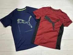 【PUMA】ジュニア　Tシャツ　160 ２枚セットのサムネイル