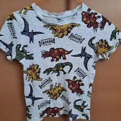 恐竜柄 半袖Tシャツ グレー