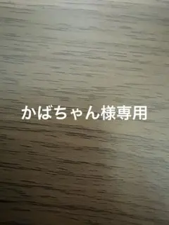 かばちゃん様専用