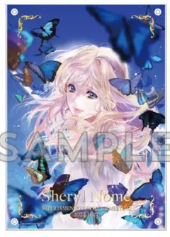 2025年最新】お誕生日_マクロスの人気アイテム - メルカリ