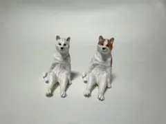 セット カプセルトイ