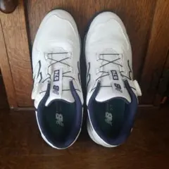 Item thumbnail for item 413f1948-a2a9-4308-bd53-21fffc16bedc