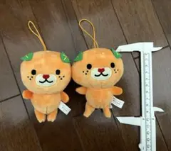 まとめ売り　ぬいぐるみ　マスコット　約9cm みきゃん 箱入りみきゃん他 楽天市場】みきゃんグッズ 2点セットB : GSクラフト