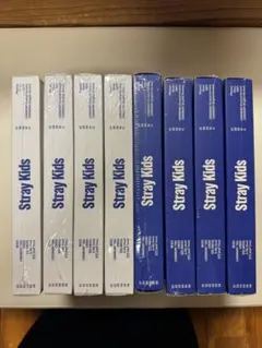 【未開封】straykids KARMA 通常盤　2種　８枚　フライヤー付