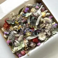 ドライフラワー♡花材セットmix 詰め合わせ