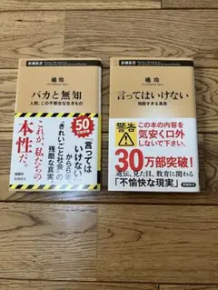 Item thumbnail for item 397d80fa-e6db-41bc-9c65-0c9f07634fe9