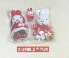 2026年最新】ミッフィーzakkaフェスタの人気アイテム - メルカリ