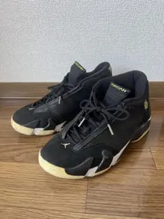 Jordan Air Jordan XIV 10 US