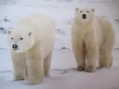 Item thumbnail for item 812b7361-253f-4425-ad45-b223072bd28a