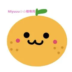 Miyuuu☆☆様専用ページ