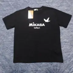 MIKASA ハイキュー!!Ｔシャツ140cm