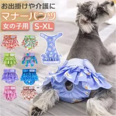 犬　マナーパンツ 水色デイジー柄 M