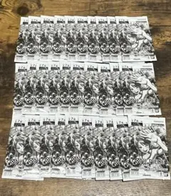 ワンピースカードゲーム　始めようキャンペーン　プロモーションパック　30パック