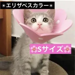 エリザベスカラー 猫用 犬用 手術 かゆみ 舐め防止 ピンク S