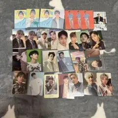 SEVENTEEN セブチ ウォヌ まとめ売り