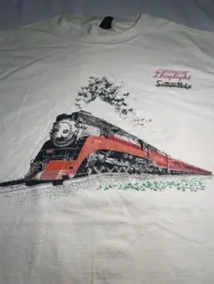80s ヴィンテージ APWU グラフィック tシャツ アメリカ製 - メルカリ
