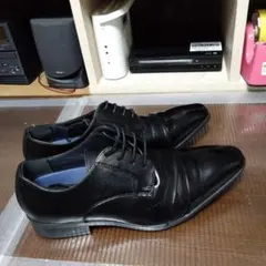 Item thumbnail for item a89e94e0-1830-46c4-895b-ce37e1ba392b