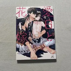 やや美品 gateau コミックス BL オメガバース 愛日と花嫁 渚アユム