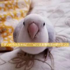 ☆まいめろ☆ちゃん(´ ˘ `๑)♡さま専用オーダーテント