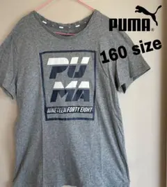 【美品】PUMA Tシャツ　デカロゴ