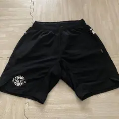 Item thumbnail for item c4202e1b-9230-4721-8294-71a8d64f1f74